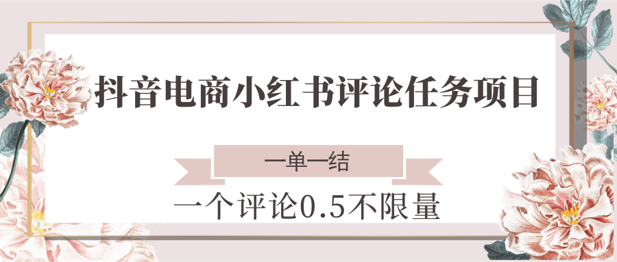 抖音电商小红书评论任务项目，一个评论0.5，一单一结 不限量|学课链网创