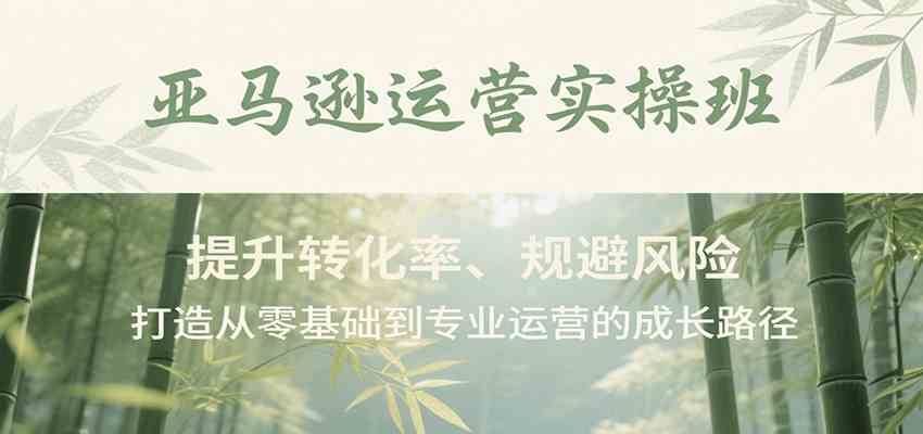 亚马逊运营实操班，提升转化率、规避风险，打造从零基础到专业运营的成长路径|学课链网创