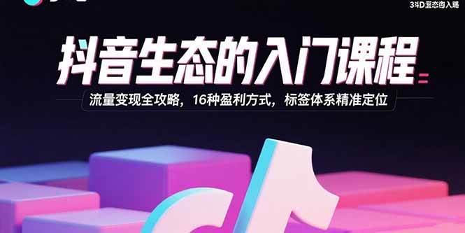（15856期）抖音生态的入门课程：流量变现全攻略，16种盈利方式，标签体系精准定位|学课链网创