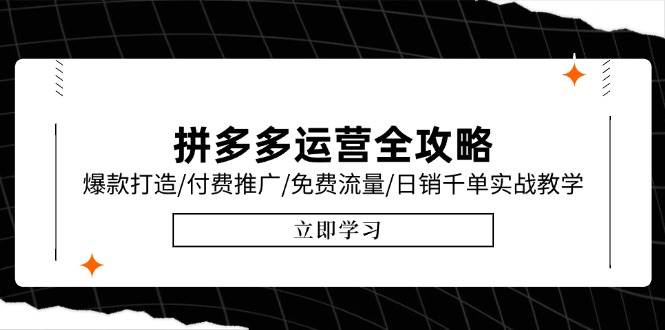 （15085期）拼多多运营全攻略，爆款打造/付费推广/免费流量/日销千单实战教学/6月更新|学课链网创