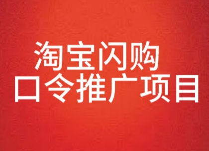 淘宝闪购口令推广项目，收益可观，一部手机，一个抖音号即可操作|学课链网创