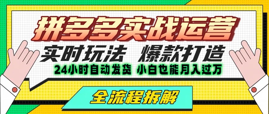 拼多多最新实战运营高投产：长久稳定项目，单店利润一天三位数|学课链网创