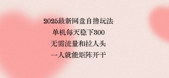 2025最新网盘自撸玩法，单机每天稳下3张，无需流量和拉人头，一个人就可轻松矩阵，全网独一份【揭秘】|学课链网创