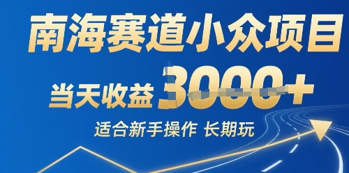 南海赛道小众项目,当天收益1k+适合新手操作可以长期玩