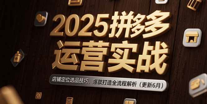 （15235期）2025拼多多运营实战：店铺定位选品技巧，爆款打造全流程解析（更新6月）|学课链网创