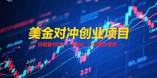 （15187期）美金对冲创业项目，日收益 1000 – 4000，小众暴力项目|学课链网创
