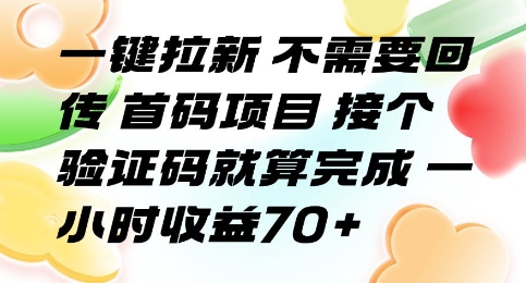 一键拉新 不需要回传 首码项目 接个验证码就算完成 一小时收益70+【揭秘】|学课链网创