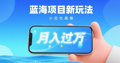 小红书蓝海项目新玩法，一部手机即可月入过W，推荐小白做非常简单认可度超高|学课链网创