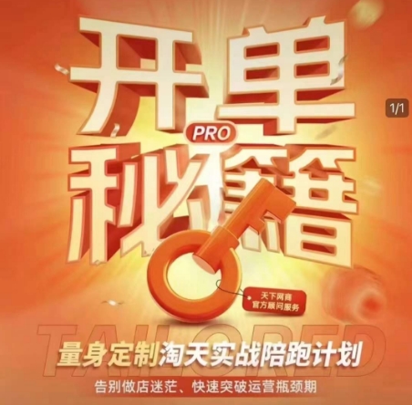 淘宝开单秘籍PRO，量身定制淘天实战陪跑计划，告别做店迷茫、快速突破运营瓶颈期（更新6月）|学课链网创