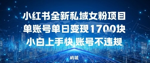 小红书全新私域女粉项目单账号单日变现多张，小白上手快账号不违规建议准备多账号操作|学课链网创