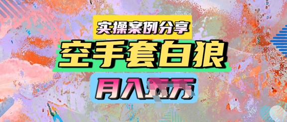 空手套白狼，月入过1W，实操案例分享|学课链网创