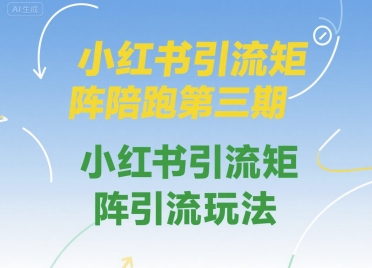 小红书引流矩阵陪跑第三期，小红书引流矩阵引流玩法|学课链网创