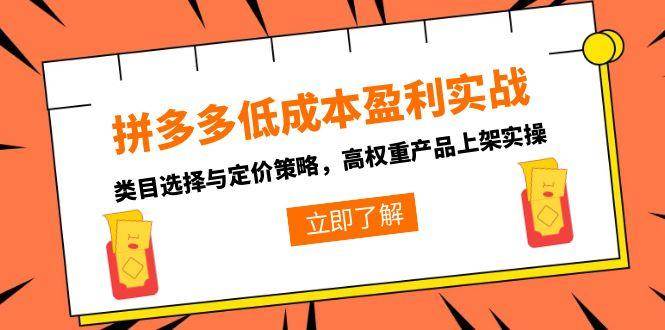 （15143期）拼多多低成本盈利实战，类目选择与定价策略，高权重产品上架实操|学课链网创