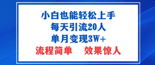 小白也能轻松上手的宝妈项目,每天引流20人,单月变现3W+,流程简单,效果惊人|学课链网创