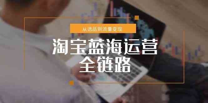 淘宝蓝海运营全链路，从选品到流量变现，小类目突围完整方案|学课链网创
