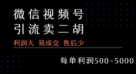视频号卖二胡教程，利润大 易成交 售后少，一单利润5张+|学课链网创