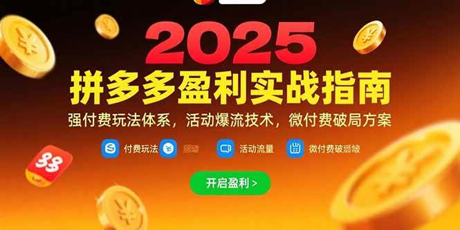 （15357期）拼多多盈利实战指南，强付费玩法，活动爆流技术，微付费破局方案(更新7月)|学课链网创