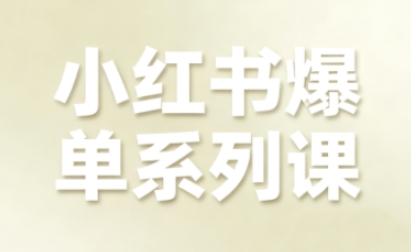 小红书爆单系列课，聚焦小红书电商全链路增长|学课链网创