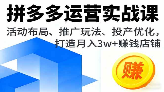 (16135期)拼多多运营实战课,活动布局、推广玩法、投产优化,打造月入3w+赚钱店铺|学课链网创