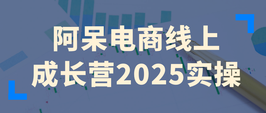 阿呆电商线上成长营2025实操|学课链网创