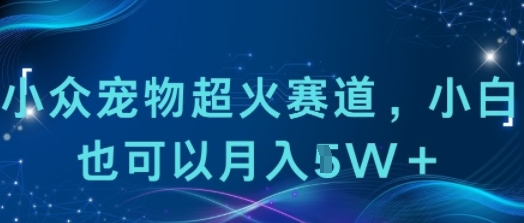 小众宠物超火赛道，小白也可以月入1w+|学课链网创