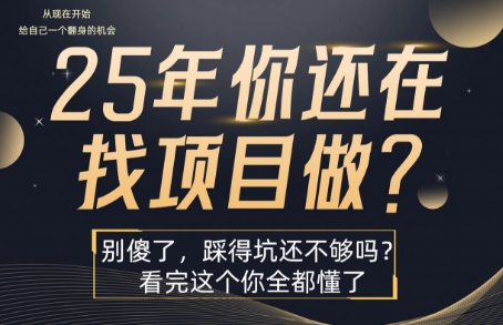25年,你还在疯狂的找项目吗?别傻了,看完这个你都懂了【揭秘】|学课链网创