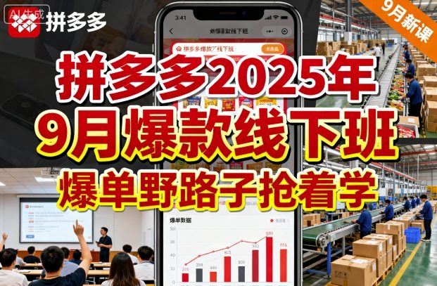 拼多多2025年9月爆款线下班,爆单野路子抢着学|学课链网创