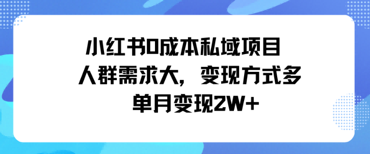 小红书0成本私域项目，人群需求大，变现方式多单月变现2W+|学课链网创