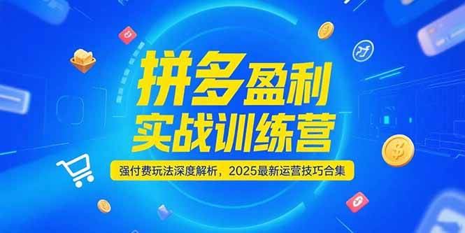 （15183期）拼多多盈利实战训练营，强付费玩法深度解析，2025最新运营技巧合集|学课链网创