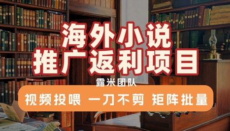 海外小说推广返利项目，视频投喂， 一刀不剪，矩阵批量|学课链网创