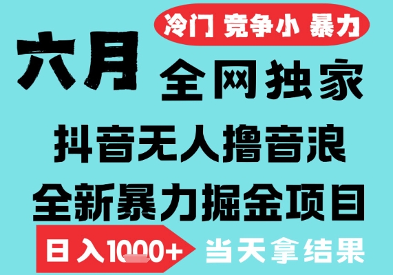 2025年6月高爆抖音无人直播最新撸音浪掘金项目，无脑日入1k+，低门槛小白可做，可矩阵放大【揭秘】|学课链网创