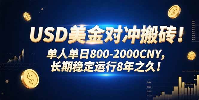 （15551期）USD美金对冲搬砖!单人单日800-2000CNY，长期稳定运行8年之久!|学课链网创