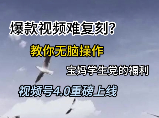 视频号4.0重磅上线，爆款视频难复刻？教你无脑操作宝妈学生党的福利【揭秘】|学课链网创