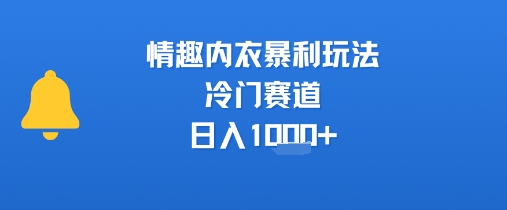 情趣内衣暴利玩法，冷门赛道，日入1k+|学课链网创