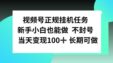 视频号正规挂播任务，有手就行不违规，轻松日入1张|学课链网创
