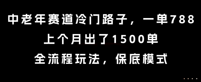 中老年赛道冷门路子，一单788，上个月出了1500单，全流程玩法，保底模式【揭秘】|学课链网创