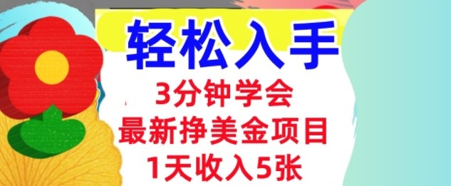 最新挣美金项目,日入5张,3分钟学会,小白轻松入手(长久的被动收入)|学课链网创