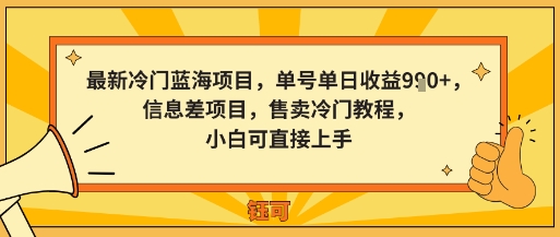 最新冷门蓝海项目，单号单日收益多张，信息差项目，售卖冷门教程，小白可直接上手|学课链网创