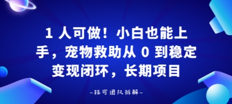 1人可做!小白也能上手,宠物救助从 0 到稳定变现闭环,长期项目