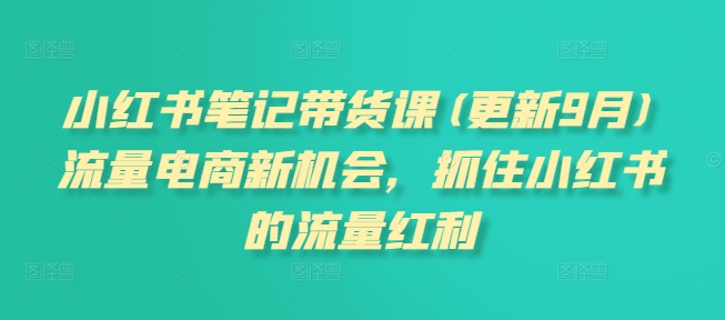 小红书笔记带货课(更新25年5月)流量电商新机会，抓住小红书的流量红利|学课链网创