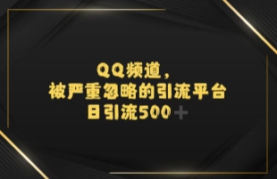 引流蓝海QQ频道，日引500+创业粉|学课链网创