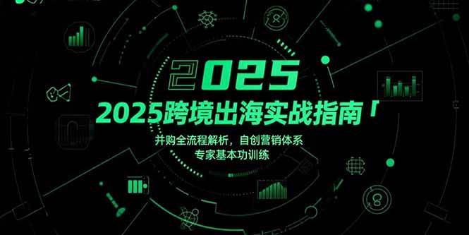 （15503期）2025跨境出海实战指南，并购全流程解析，自创营销体系，专家基本功训练|学课链网创