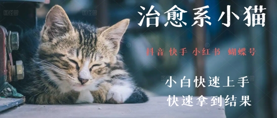 拆解，疯狂火爆！抖音，小红书，视频号小猫治愈的视频，轻松制作+快速拿到结果|学课链网创