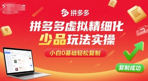 拼多多虚拟精细化少品玩法实操，小白0基础轻松复制|学课链网创