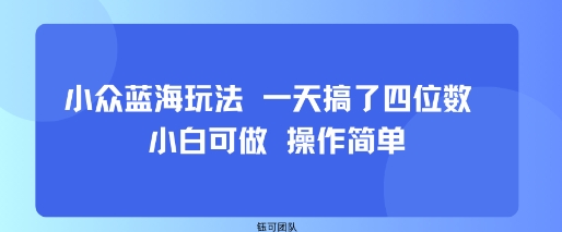 小众蓝海玩法 一天搞了四位数 小白可做 操作简单|学课链网创