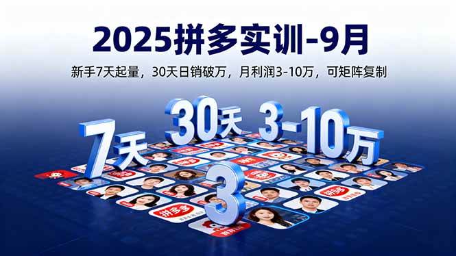（16008期）2025拼多多实训-9月：新手7天起量,30天日销破万,月利润3-10万,可矩阵复制|学课链网创