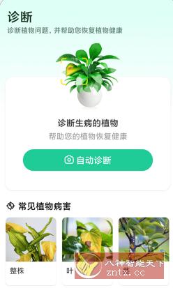 Plant Parent 植物养护v1.100高级版|学课链网创