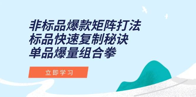 （15068期）非标品爆款矩阵打法，标品快速复制秘诀，单品爆量组合拳|学课链网创