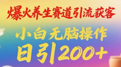 爆火养生赛道引流获客，小白无脑操作，日引200+|学课链网创