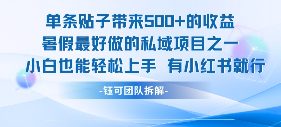 单条贴子带来5张的收益，暑假最好做的私域项目之一，小白也能轻松上手，有小红书就行|学课链网创
